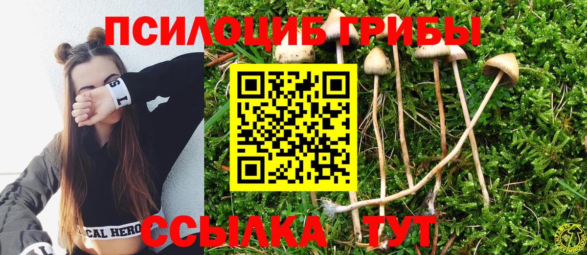 Псилоцибиновые грибы прущие грибы Каменск-Уральский