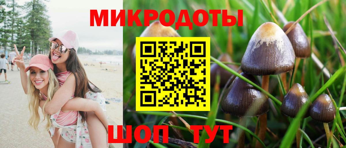 Псилоцибиновые грибы Psilocybe  Вход с VPN  Галлюциногенные грибы MAGIC MUSHROOMS  Каменск-Уральский 